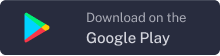 Google Play Icon